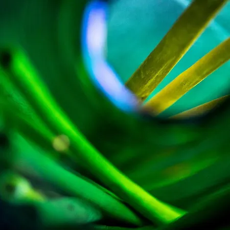 Cascignoli Farm stay *