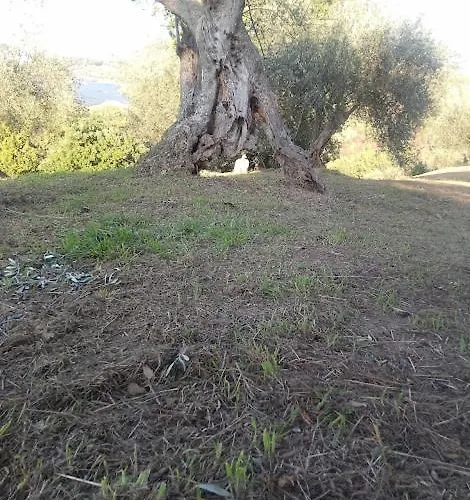 Agriturismo Cascignoli Розето-дельи-Абруцци