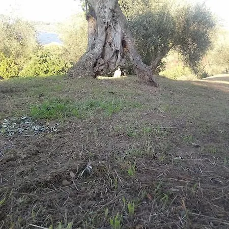 Agriturismo Cascignoli روزيتو ديلي أبروتسي