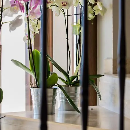 مزرعة للإقامة Agriturismo Cascignoli