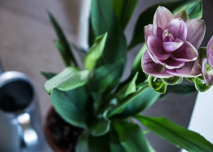 Agriturismo Cascignoli